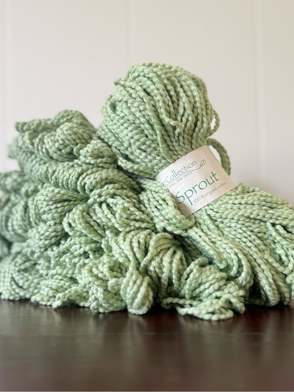 (6) Classic Elite Sprout - Mint Green - 100% Organic Tanguis Cotton, Bulky Yarn